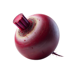 Beetroot