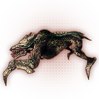 Kodiak Skulk