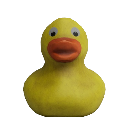 Plastic Duck