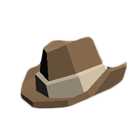 Cowboy Hat