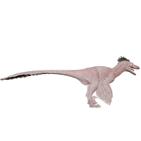 Albino Deinonychus