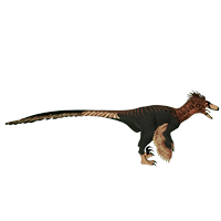 BeardedVulture Deinonychus