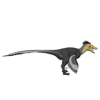 Cockatiel Deinonychus