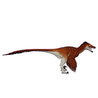 Xane Deinonychus