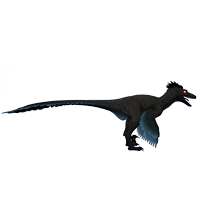 Delugai Deinonychus