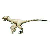 PolarOwl Deinonychus