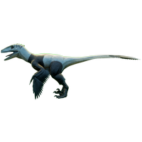 Panda Deinonychus