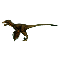 Woodland Deinonychus