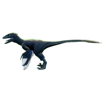Corvidae Deinonychus