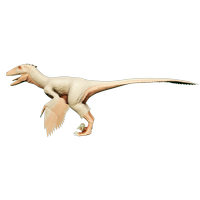 Albino Deinonychus