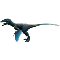 Delugai Deinonychus