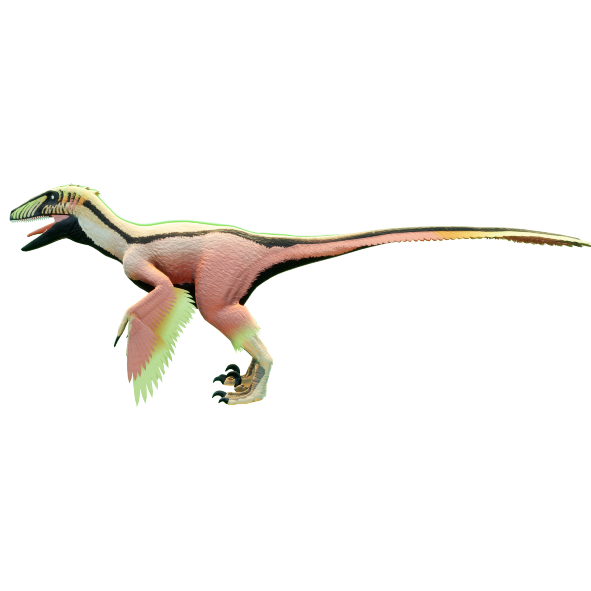 Florida Deinonychus