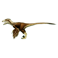 Osprey Deinonychus