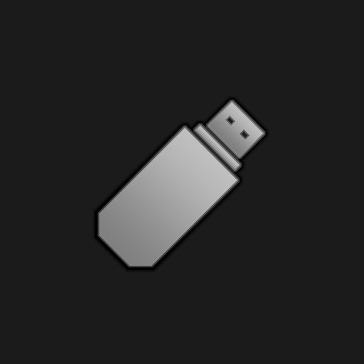 Flash Drive