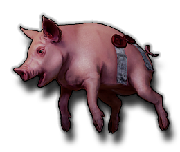 Stolen Swine