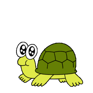 Gary the turtle