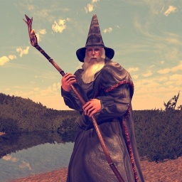 Wise Old Wizard