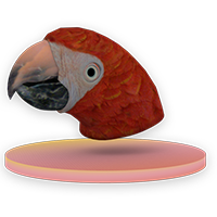 Parrot Mask