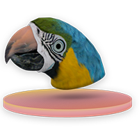 Parrot Mask