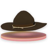 Sheriff Hat