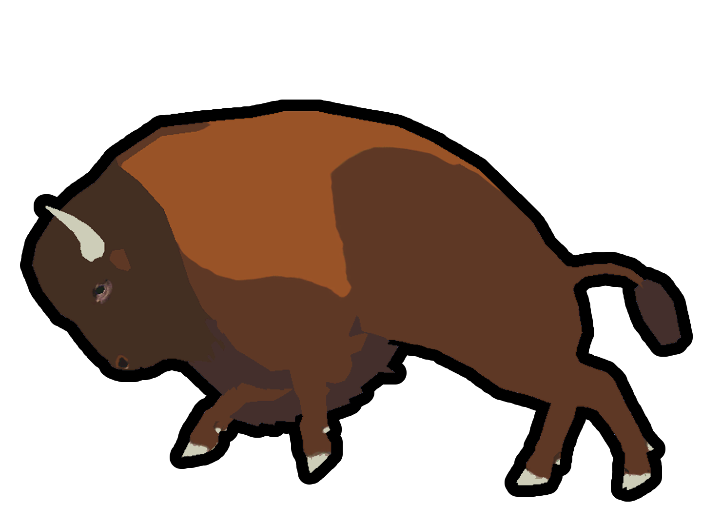 Bison