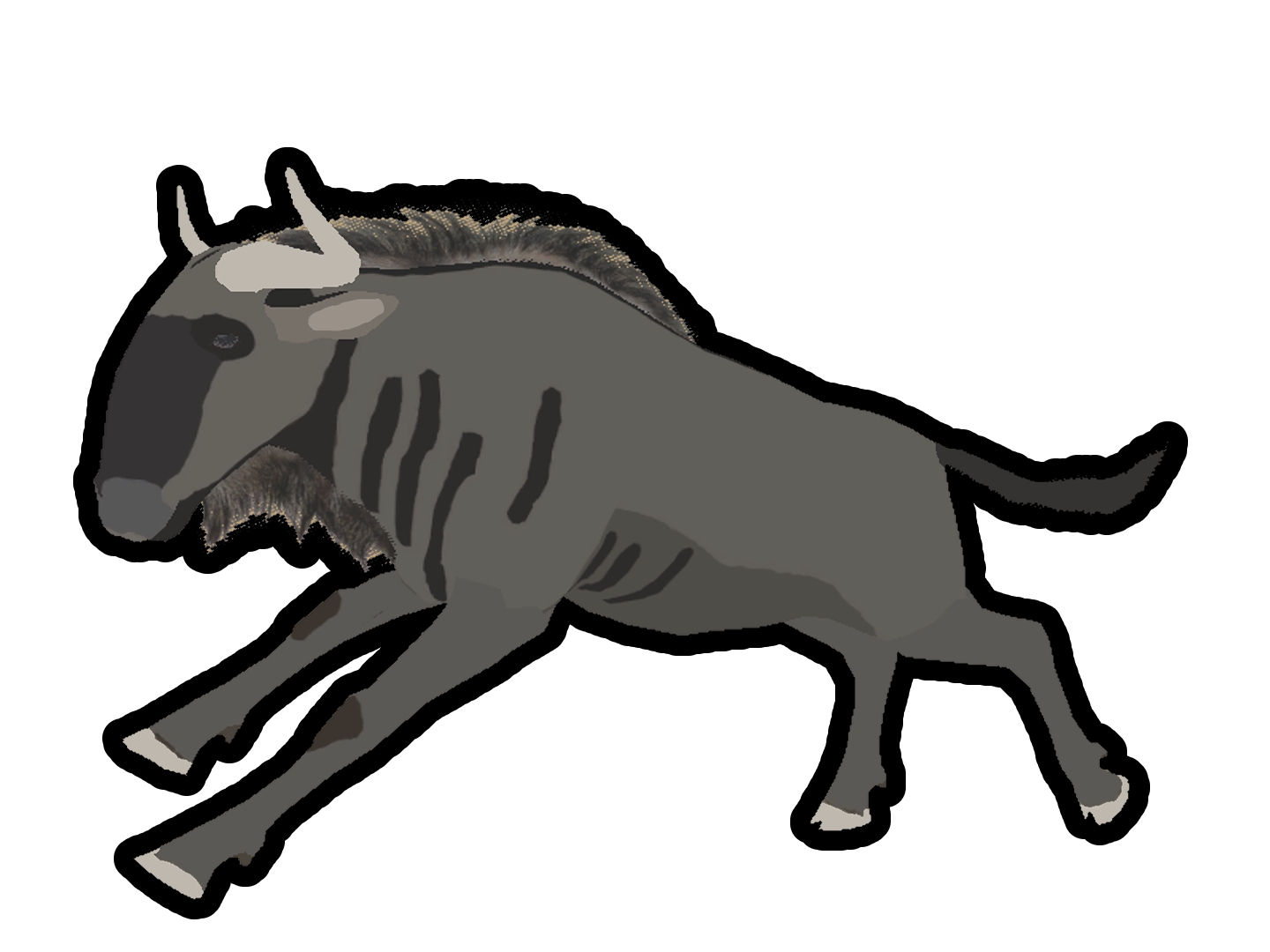 Wildebeest