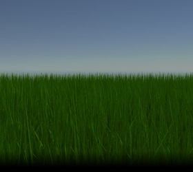 Swaying Grass